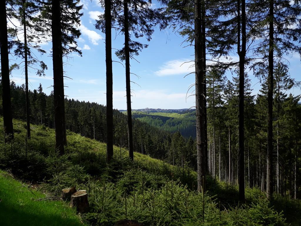 Hotel Drei Kronen Frauenwald Esterno foto